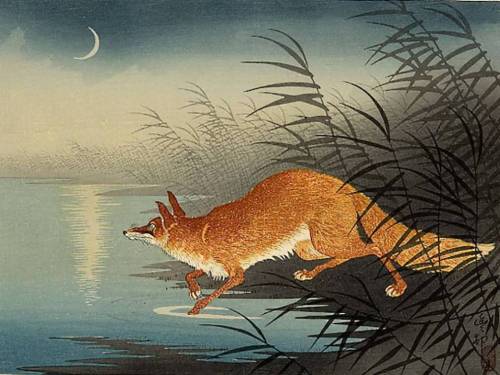 Fox in the Reeds by Ohara Koson