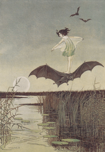 Illustration by Ida Rentoul Outhwaite