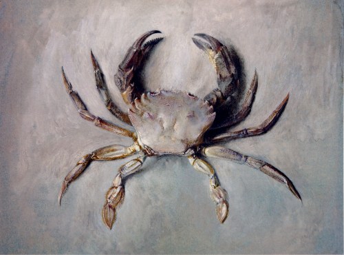 Velvet Crab by John Ruskin