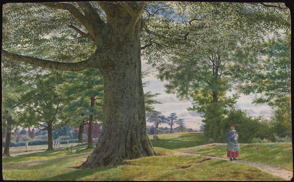 Theodora Tree The Beech Trees | Theodora Goss: Poems
